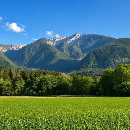 In Suedkaernten Bergblick, Fischteich & Naturidylle By Fewo-plan * Hof (Volkermarkt)